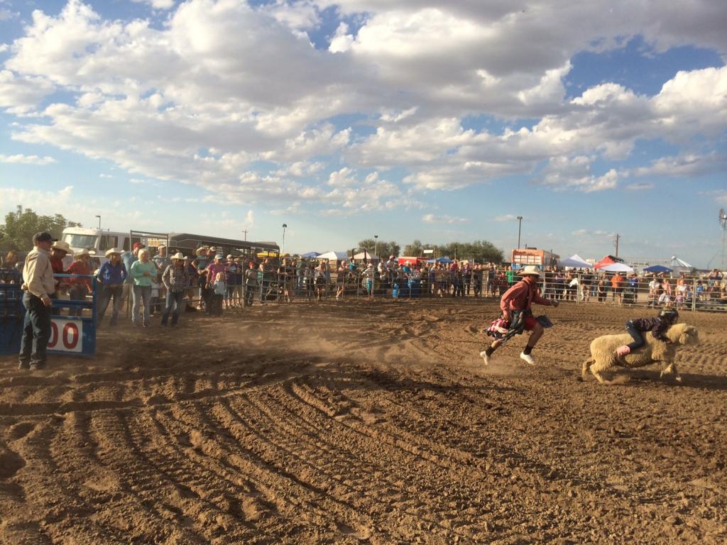 The Top Events in Marana, Arizona Discover Marana