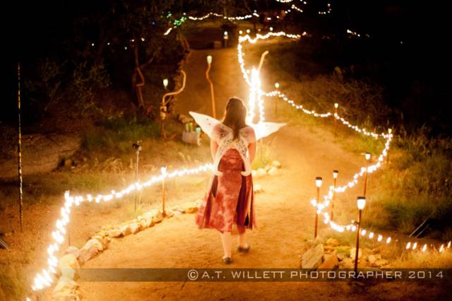 Glow: A Nighttime Art Experience