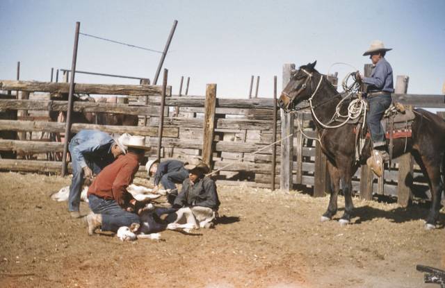Tour of Historic Canoa Ranch